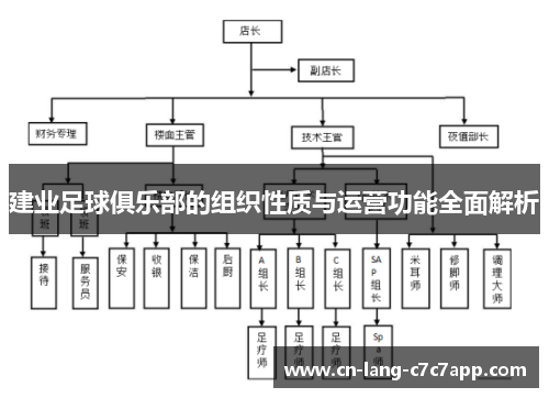 建业足球俱乐部的组织性质与运营功能全面解析