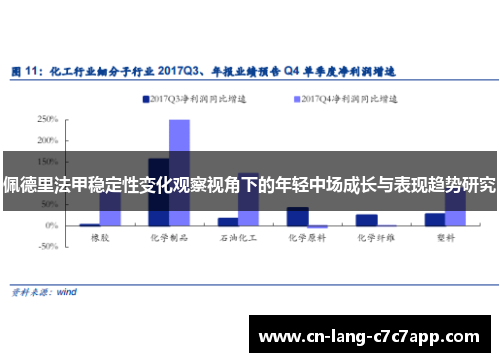 佩德里法甲稳定性变化观察视角下的年轻中场成长与表现趋势研究